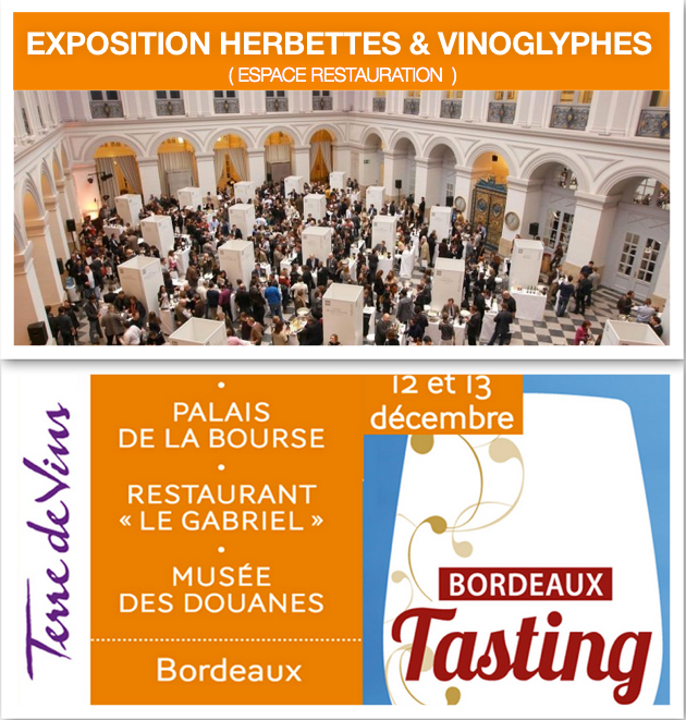 Bordeaux-Tasting